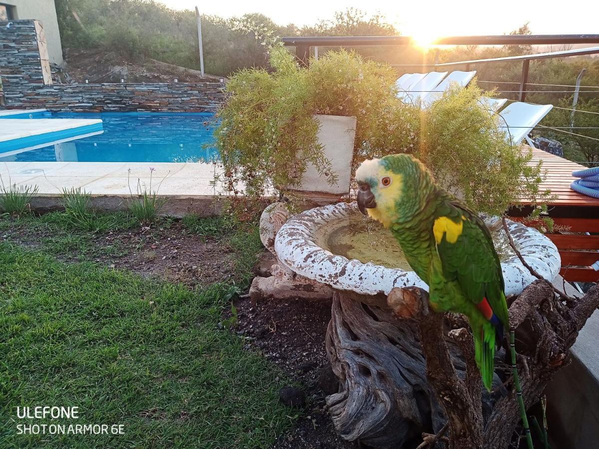 Ferienwohnung Miracampo San Antonio de Arredondo Exterior foto